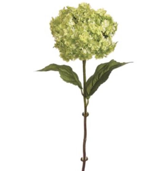 25" Green Hydrangea Spray