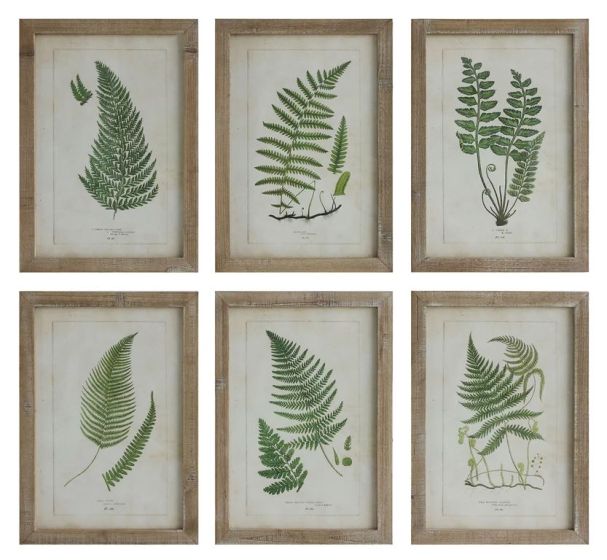 Wood Framed Fern Print