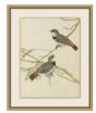 Birds of Autumn 6