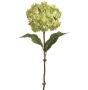 25" Green Hydrangea Spray