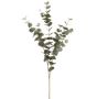 40" Eucalyptus Spray