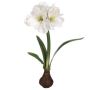 21" White Standing Amaryllis