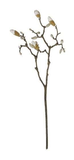 33" Magnolia Branch