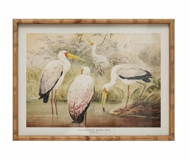 Framed Vintage Storks Image