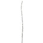 46" Pussy Willow Branch
