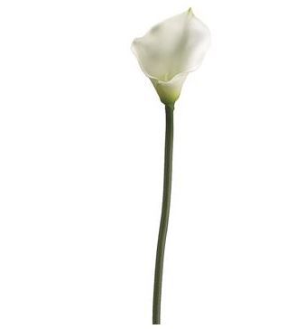 30.5" Cream Calla Lilly Spray