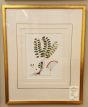 Pressed Fern Prints