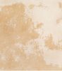 Beige & Cream Throw Pillow