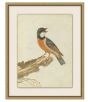 Birds of Autumn 3