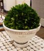 White Pedestal Bowl