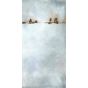 Edge 2