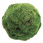 5" Green Moss Ball