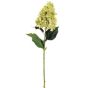 28" Lime Cone Hydrangea Spray