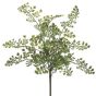 15" Green Lace Fern Bush