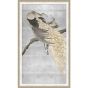 Silver Grace Peacocks