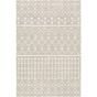 Light Gray Pattern 6x9 Rug