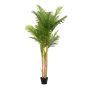 Fern Tree in Pot