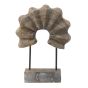 Paulownia Wood Accent