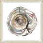 Rings in Wood 2