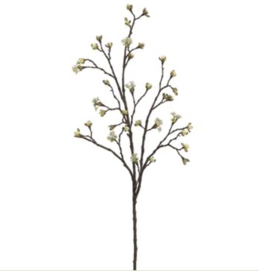 Budding Blossom Branch