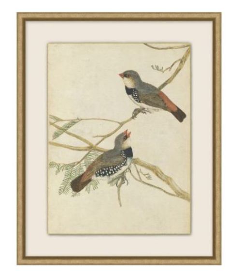 Birds of Autumn 6