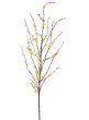 56" Yellow Forsythia