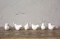 Set of 6 Cream Birds in Box