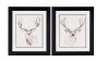 Natural Buck Art