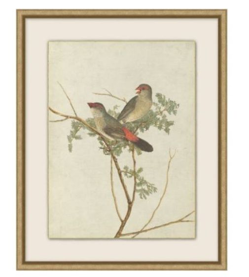 Birds of Autumn 2