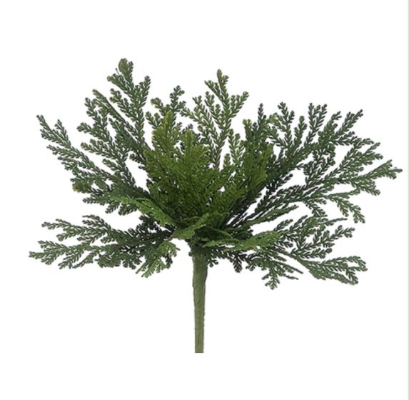 12" Green Cedar Bush