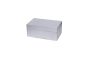 Small Lacquer Sliver Leaf Box