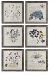 Framed Wall Decor-Floral Image