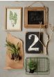Wood Framed Fern Print