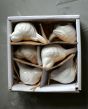 Set of 6 Cream Birds in Box