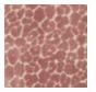 24x24 Chava Blush Pillow