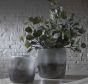 Blown Glass Bowls
