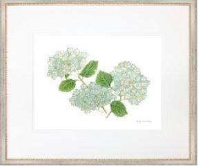 Hydrangea I 26x22