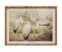 Framed Vintage Storks Image