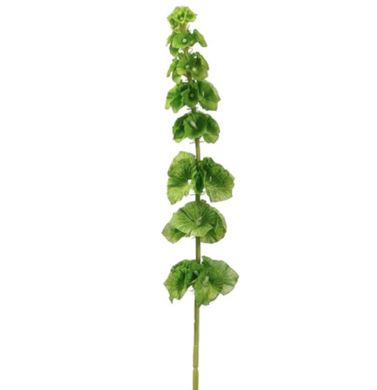 29" Bells of Ireland Spray