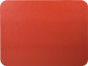 Orange Lizard Placemat
