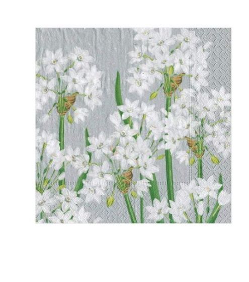 Paperwhites in Silver Cocktail