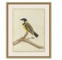 Birds of Autumn 1