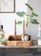 Small Handwoven Rattan Tray