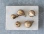 Gold 3.5" Figs