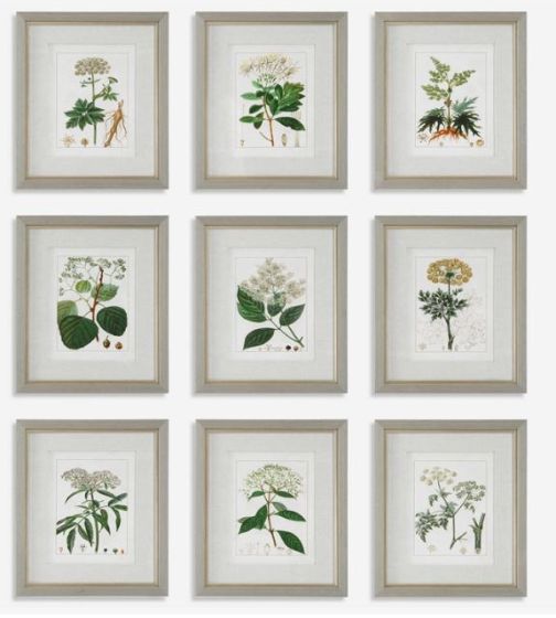 Botanical Framed Prints