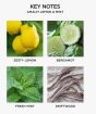 Pura Amalfi Lemon & Mint Refill