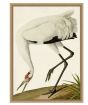 Oiseau 2