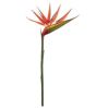 36" Orange Bird of Paradise