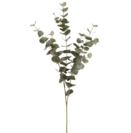 40" Eucalyptus Spray