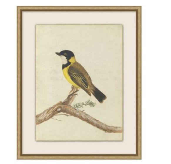 Birds of Autumn 1